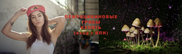 спайс Гусь-Хрустальный