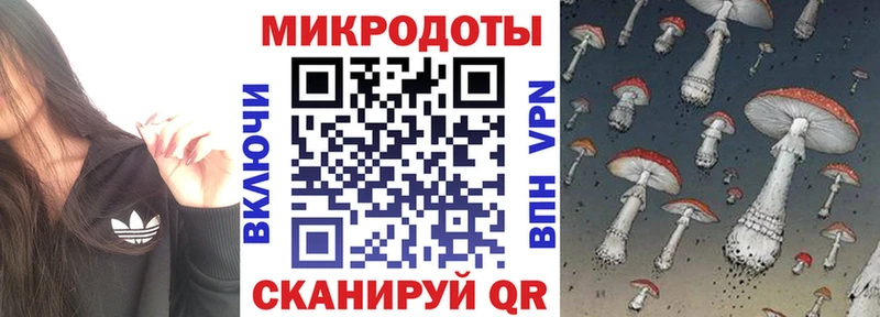 Галлюциногенные грибы Psilocybe Агрыз