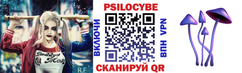 Псилоцибиновые грибы прущие грибы  Агрыз 